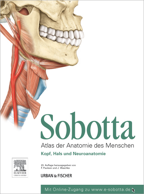 »F. Paulsen und J. Waschke: Sobotta - Band 3«, Buchumschlaggestaltung – Fachbücher